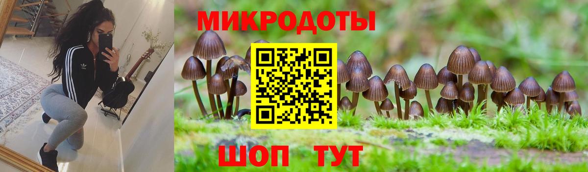 Псилоцибиновые грибы ЛСД  Вход с VPN  Ейск  Псилоцибиновые грибы Psilocybe 